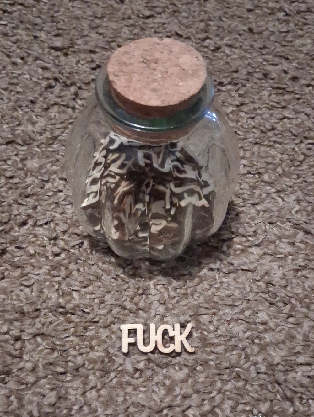 Glass Jar with Cork Lid - With 47 F#cks To Give